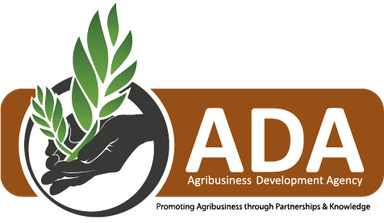 Partner Logo