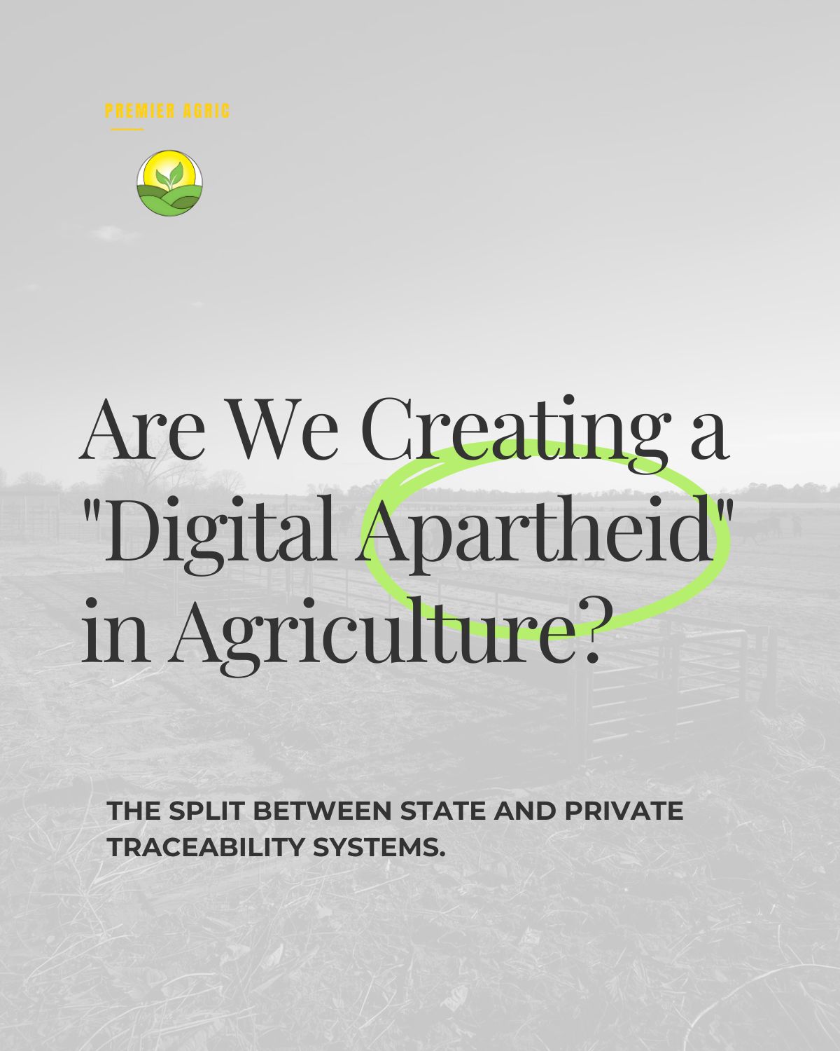 Are We Creating a Digital Apartheid?