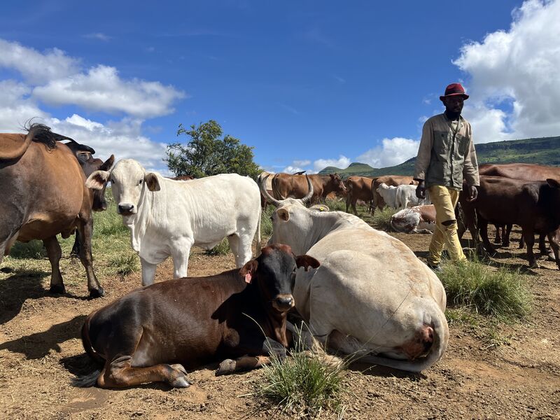 We Have the Tech But Do We Have the Troops?